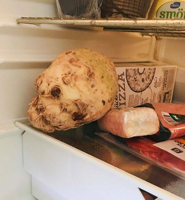 strangedesigns28_013