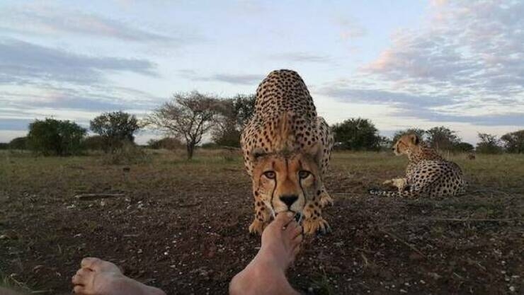 strangedesigns28_031