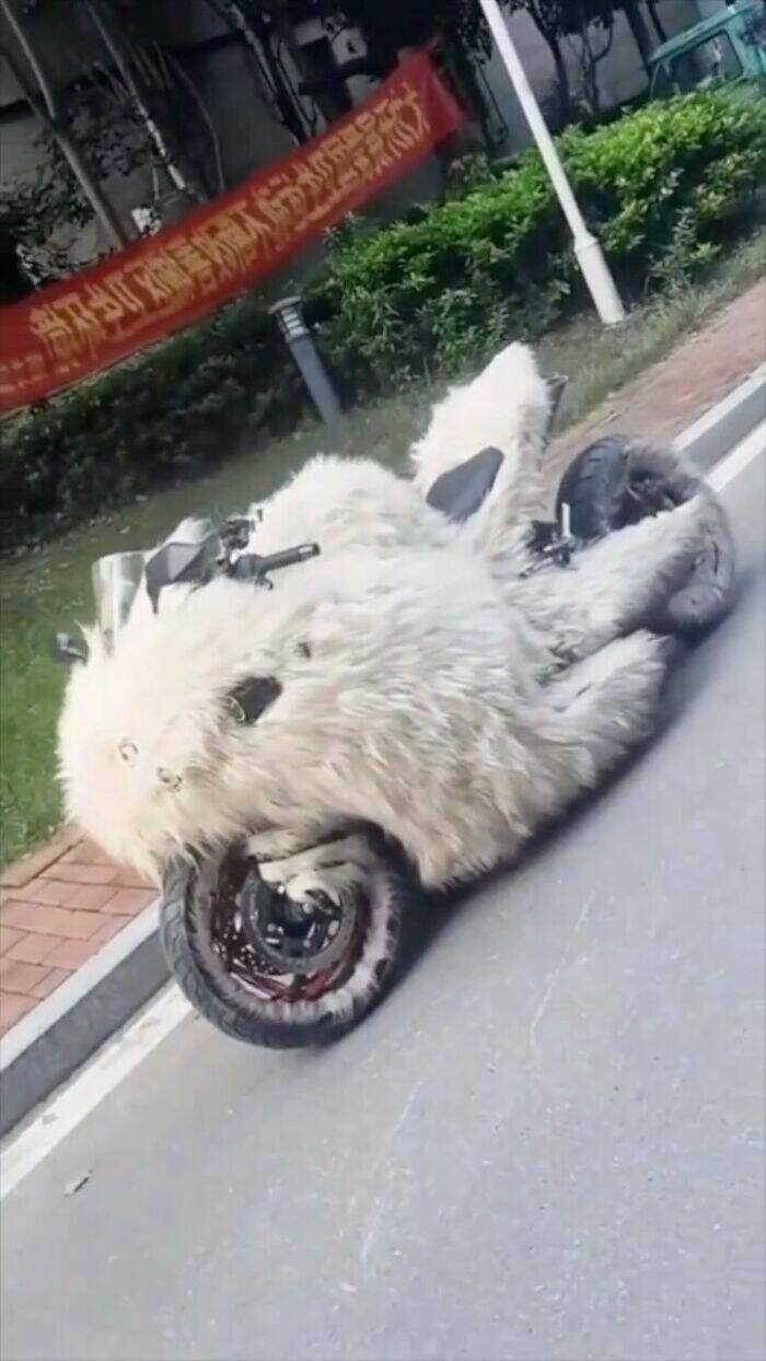 strangedesigns28_036