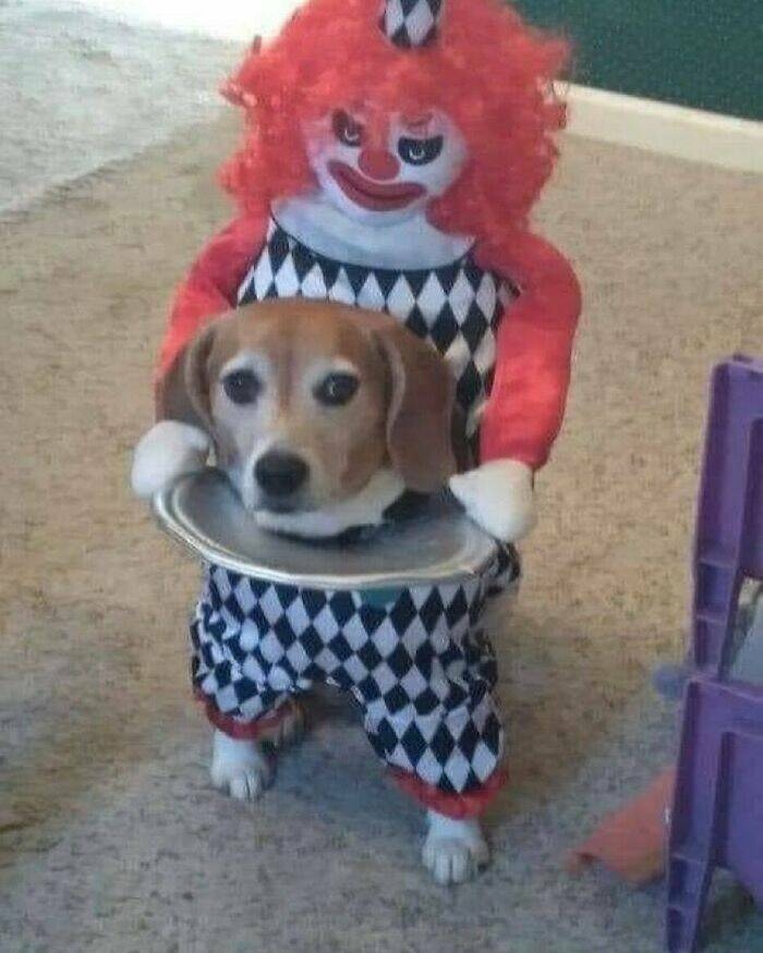 strangedesigns28_048