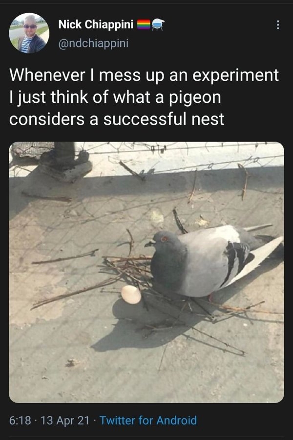 funnyanimals111_025