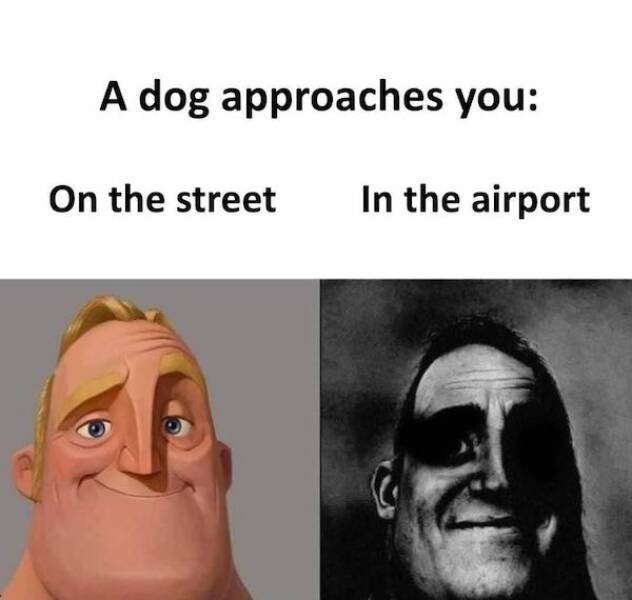 funnymemes157_004