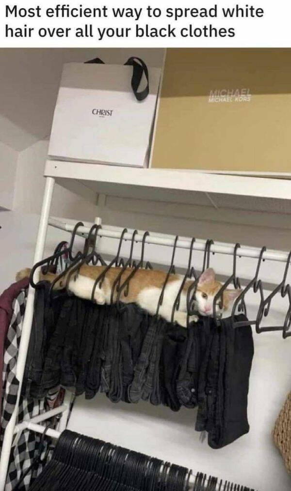 funnymemes157_005
