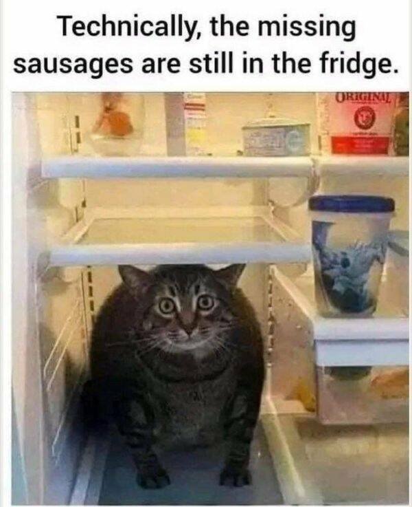funnymemes157_007