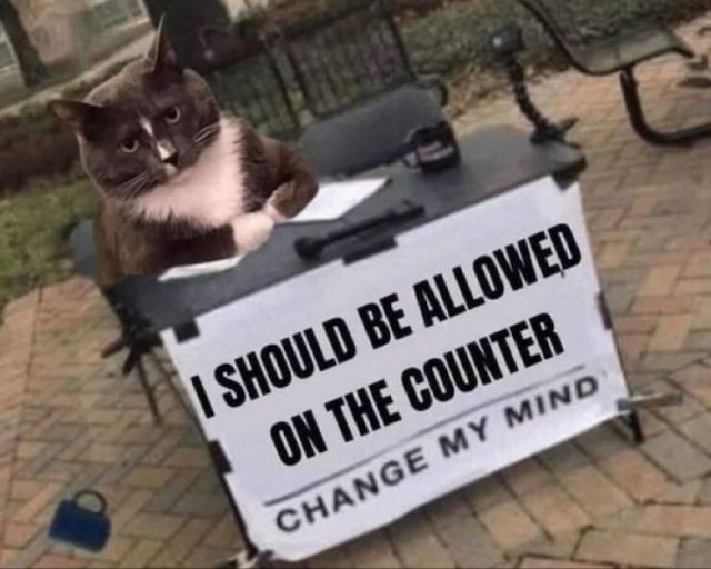 funnymemes157_012