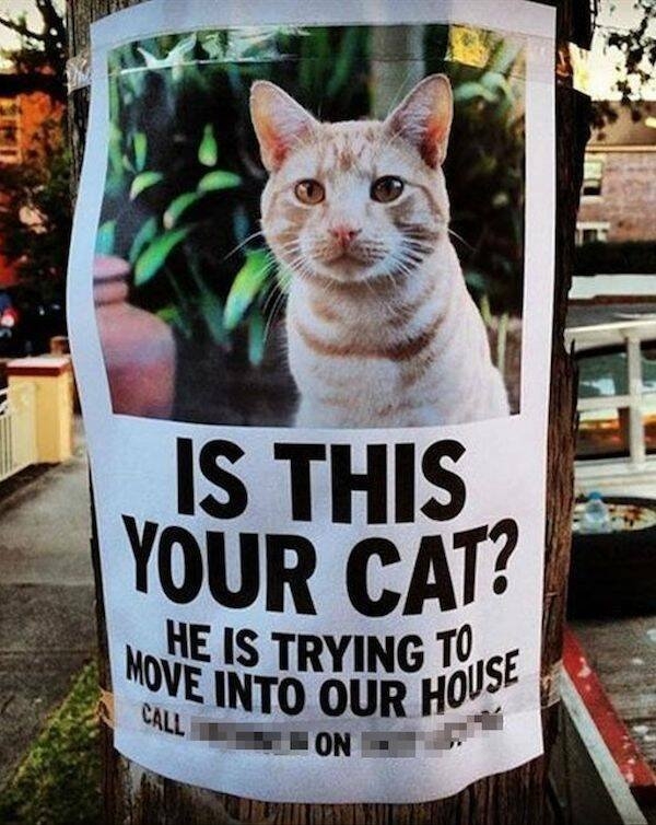 funnymemes157_016