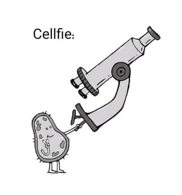 funnymemes157_037
