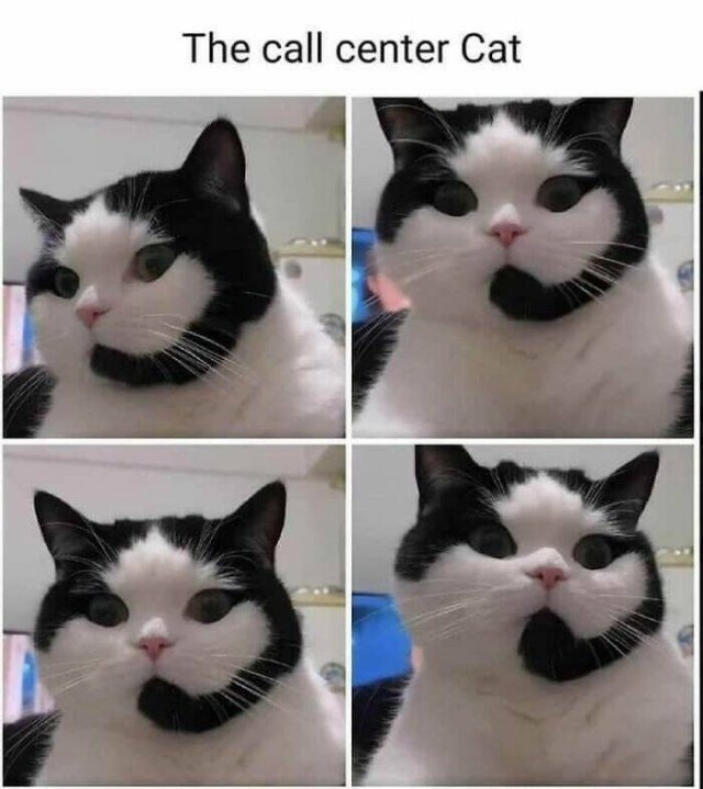 funnymemes161_002