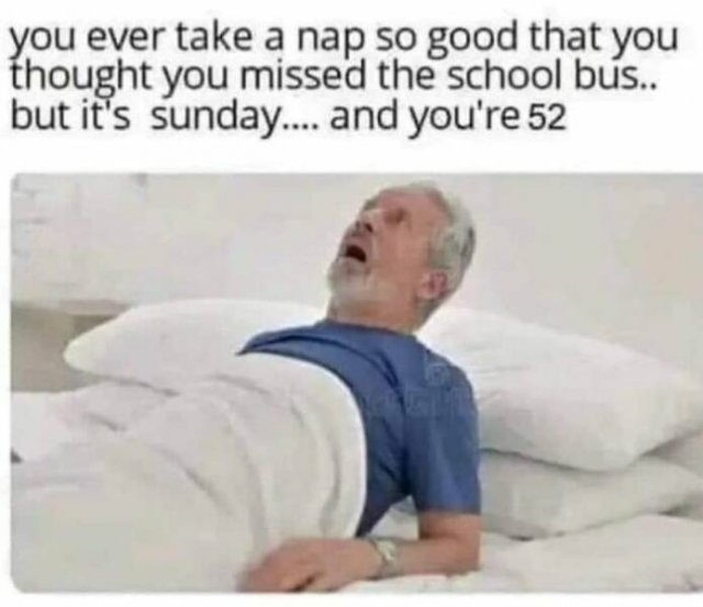 funnymemes161_005