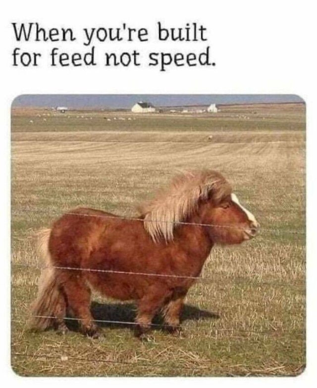 funnymemes161_006