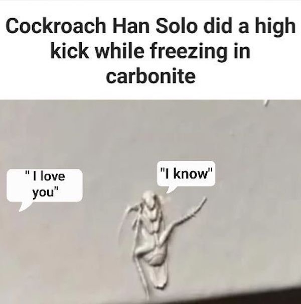 funnymemes161_013