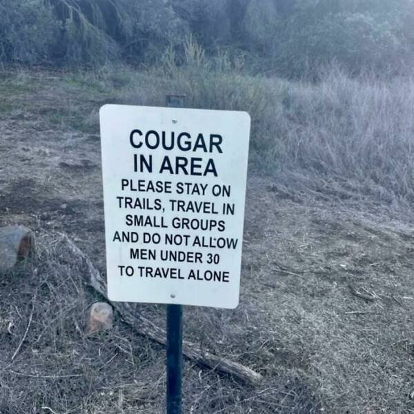 funnysigns19_007