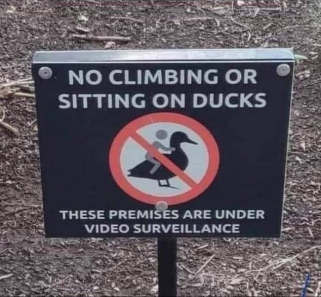 funnysigns19_022