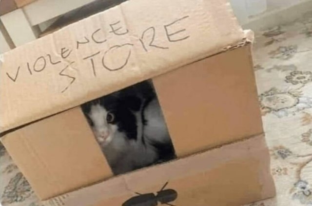 funnysigns19_029
