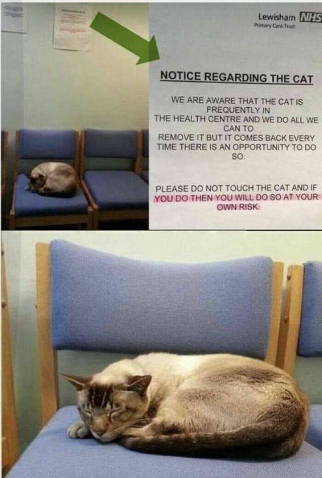 funnysigns19_032