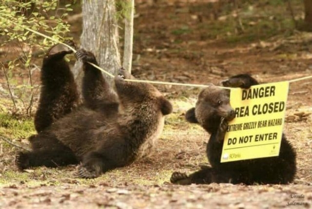 funnysigns19_033