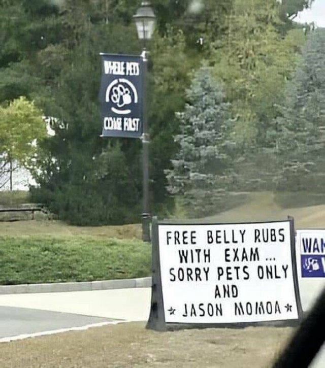 funnysigns19_036