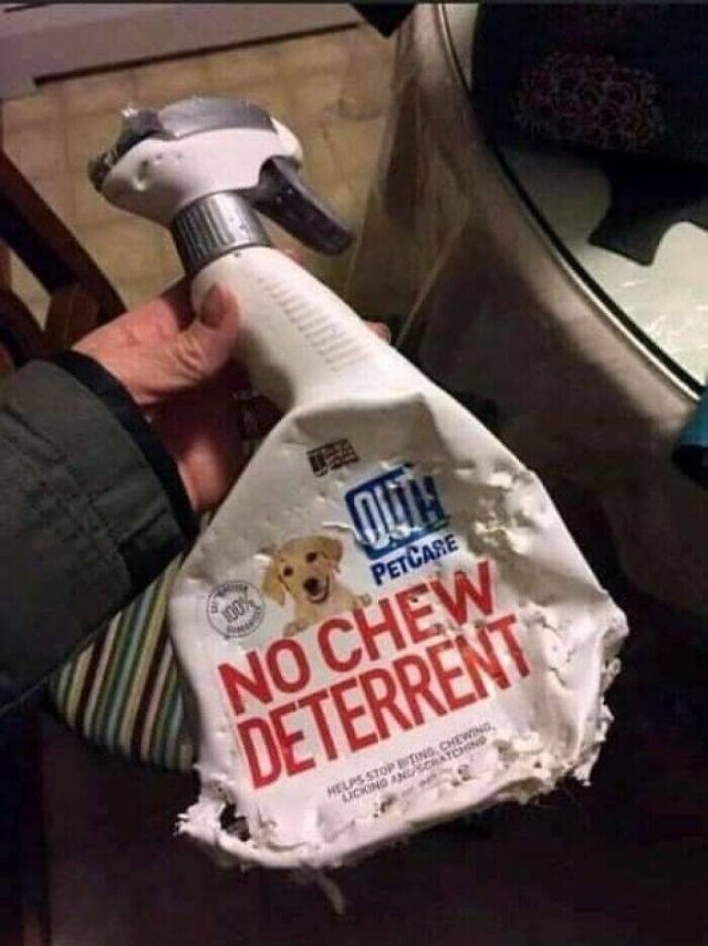 funnysigns20_005