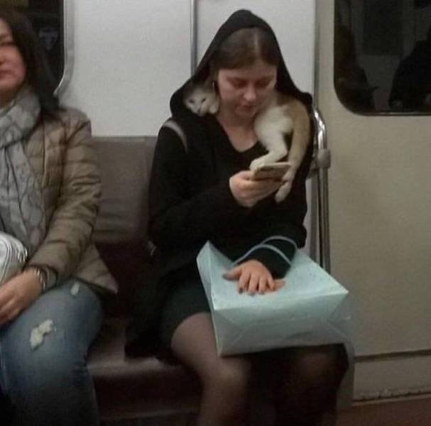 funnysubway27_005