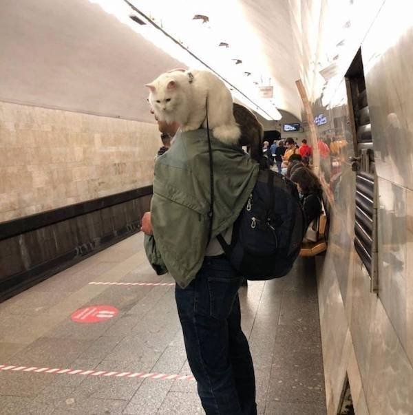 funnysubway27_007