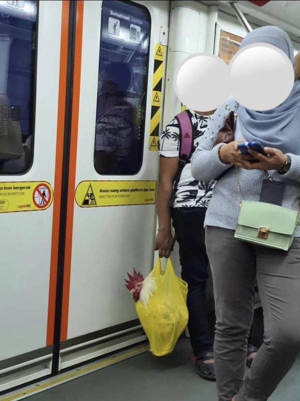 funnysubway27_025