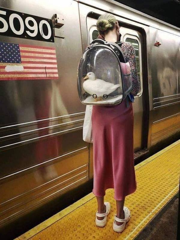 funnysubway27_029