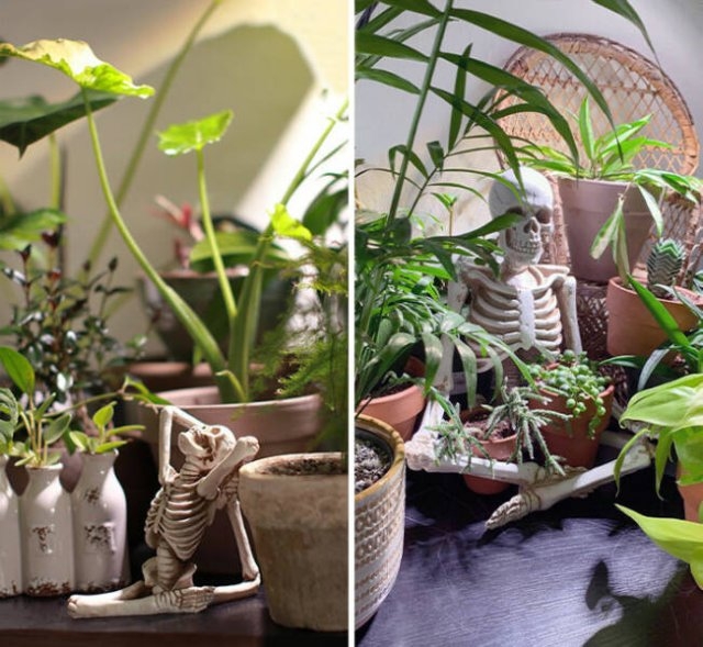 halloweendecorations3_028