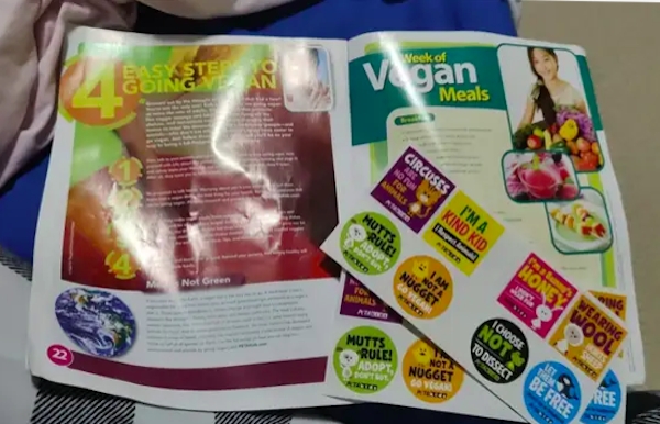 halloweendecorations4_003