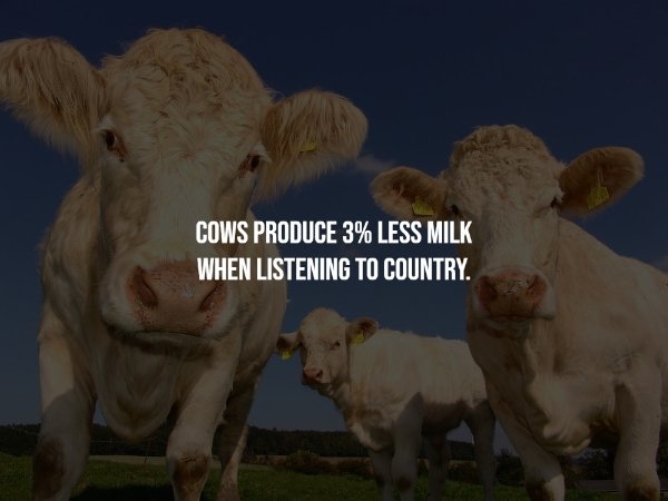 interestingfacts69_003