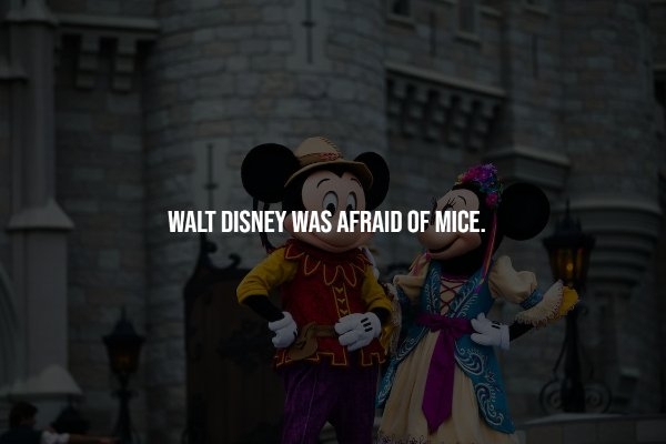 interestingfacts69_005