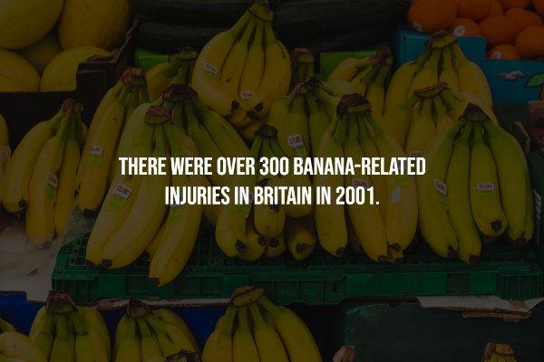 interestingfacts69_010