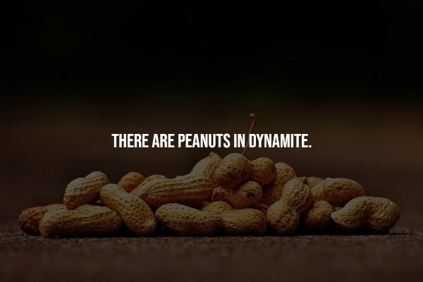 interestingfacts69_014