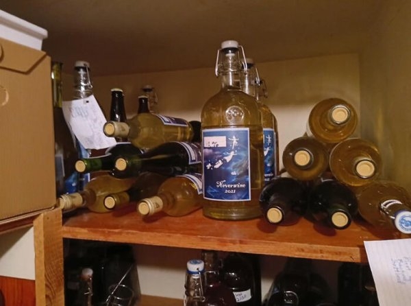 interestingfacts70_001