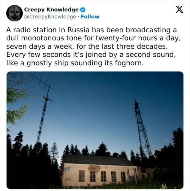 interestingfacts71_010