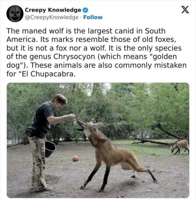 interestingfacts71_015