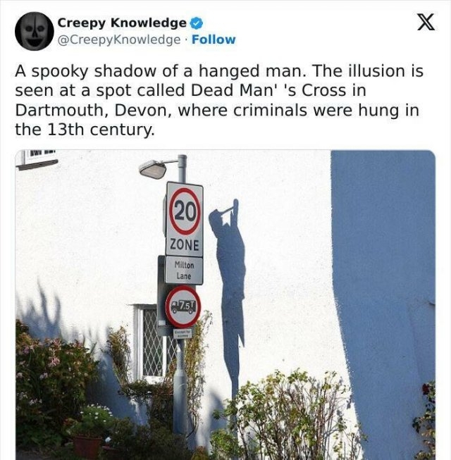 interestingfacts71_016