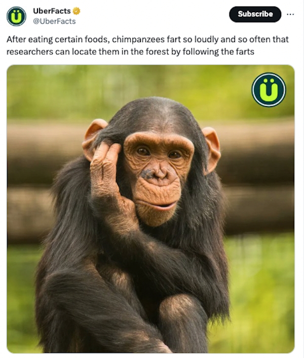 interestingfacts72_007