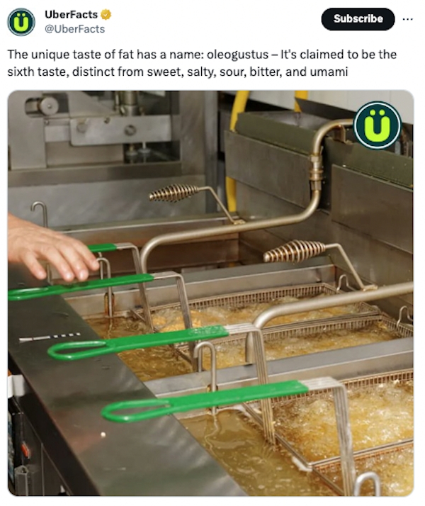 interestingfacts72_012