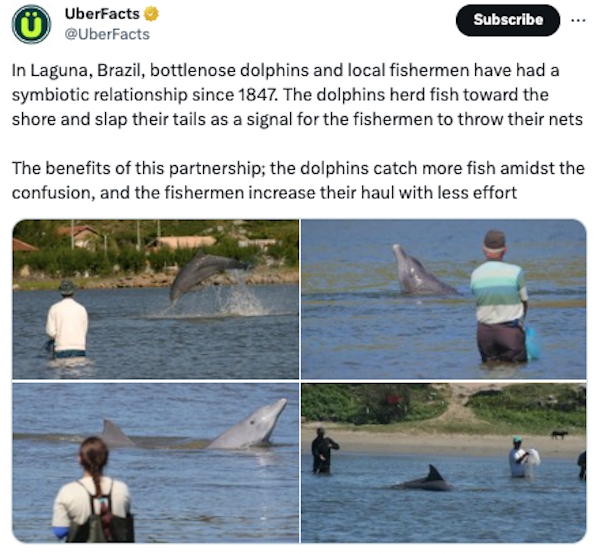 interestingfacts72_021