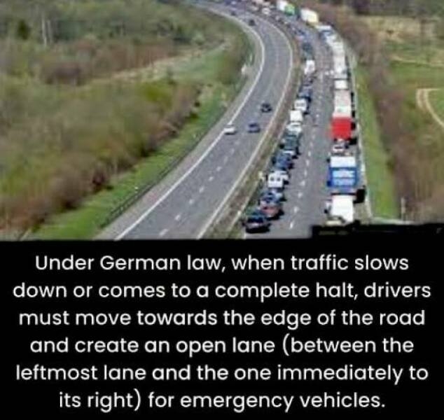 interestingfacts73_007