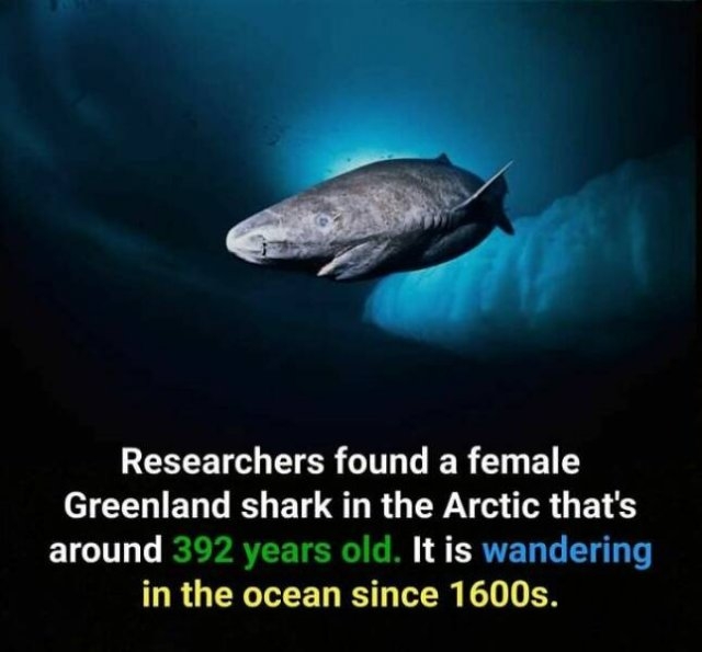 interestingfacts73_009
