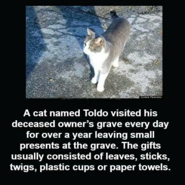 interestingfacts73_020