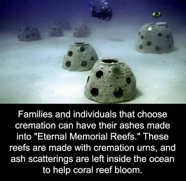 interestingfacts73_023