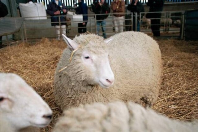 interestingfacts75_009