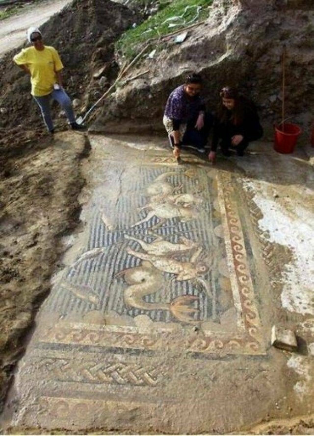 interestingfacts76_014