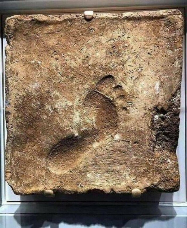 interestingfacts76_018