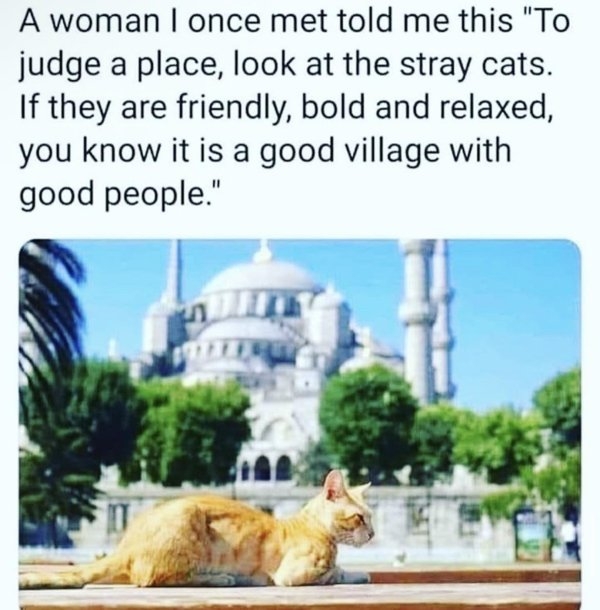introvertmemes10_009