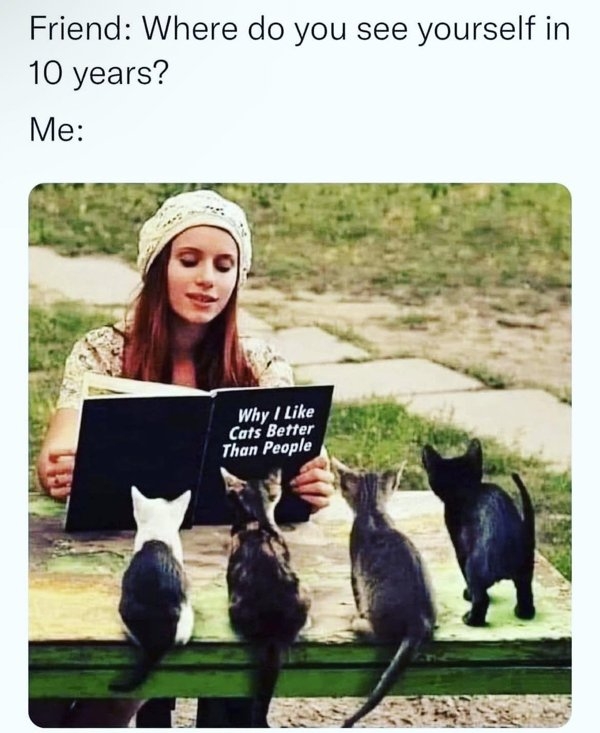 introvertmemes10_017