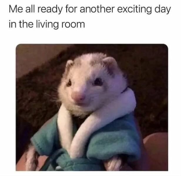 introvertmemes10_028