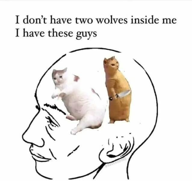 introvertmemes11_003